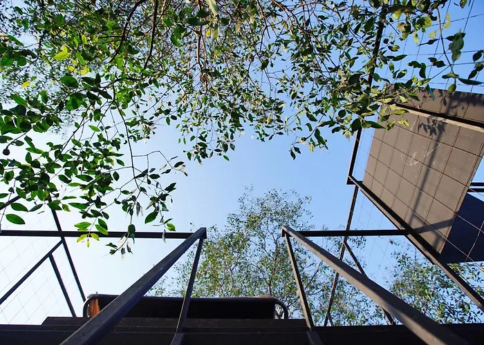 Tree House Bang Kachao 4*