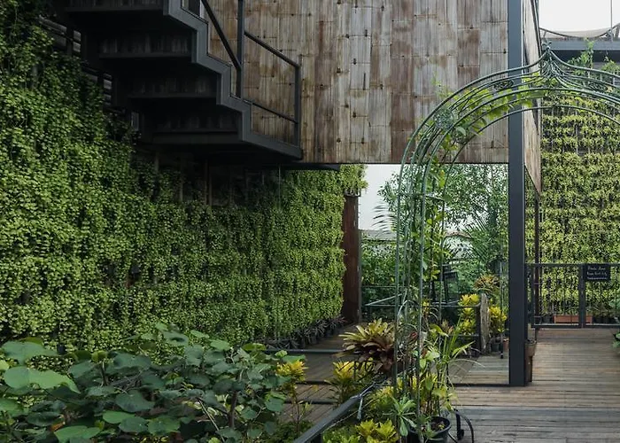 Tree House Bang Kachao Bangkok