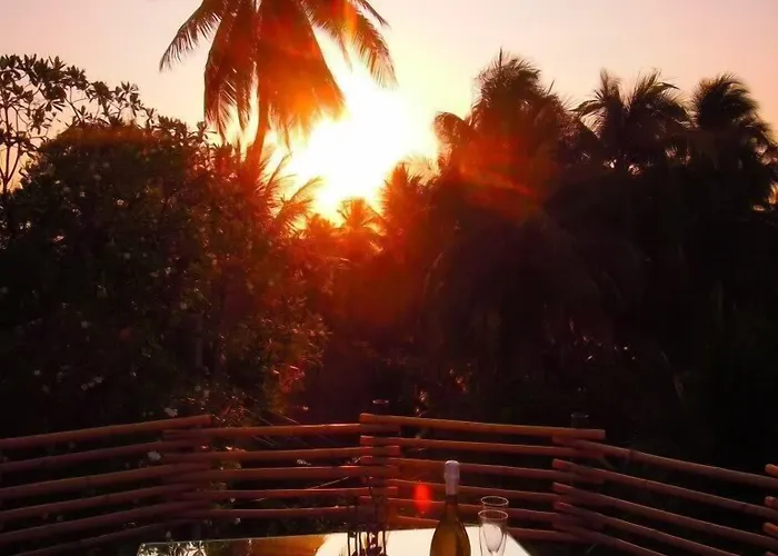 Tree House Bang Kachao