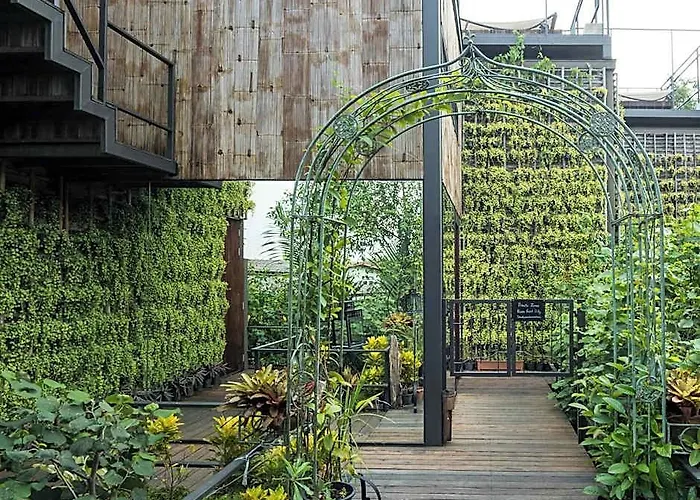 Tree House Bang Kachao Bangkok