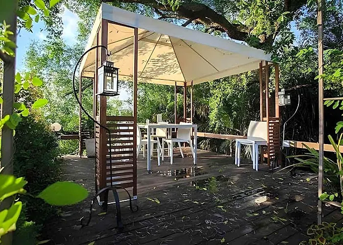 Tree House Bang Kachao