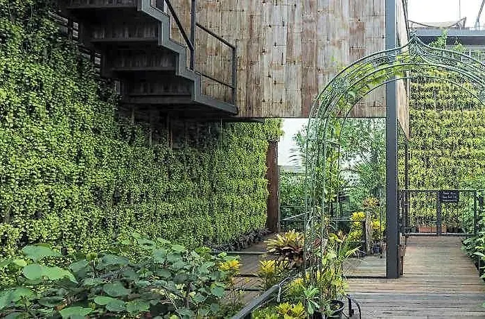 리조트 Tree House Bang Kachao 방콕
