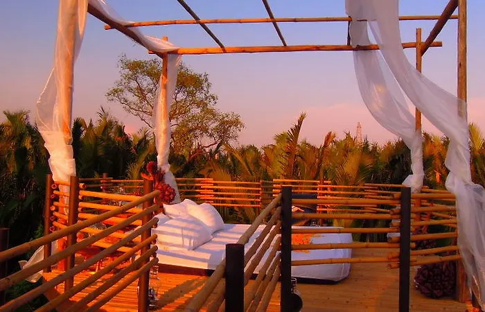 Tree House Bang Kachao